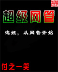 《超级网管》（校对版全本）作者：衰鸟 封面