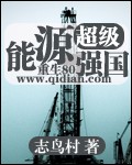 《超级能源强国》（精校版全本）作者：志鸟村 封面