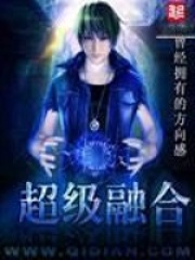 《超级融合》（校对版全本）作者：曾经拥有的方向感 封面