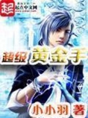 《超级黄金手》（校对版全本）作者：小小羽 封面
