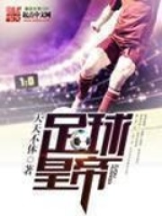 《足球皇帝》（校对版全本）作者：天天不休 封面