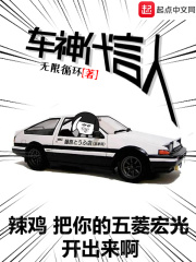《车神代言人》（校对版全本）作者：无限循环 封面