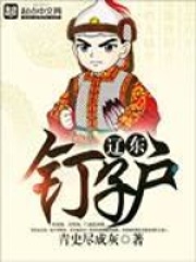 《辽东钉子户》（校对版全本）作者：青史尽成灰 封面