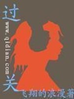 《过关》（校对版全本）作者：飞翔的浪漫 封面