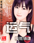 《运气》（校对版全本）作者：黯然销魂 封面