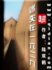 《迷失在一六二九》（校对版全本）作者：陆双鹤 封面