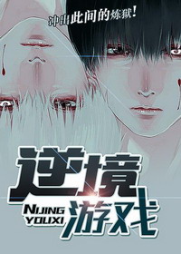 《逆境游戏》（校对版全本）作者：肥狐狸 封面