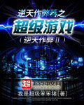 《逆天作弊器之超级游戏》（校对版全本）作者：我是超级笨笨猪 封面