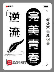 《逆流完美青春》（校对版全本）作者：何处不天涯 封面