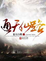 《通天仙路》（校对版全本）作者：飞翼 封面