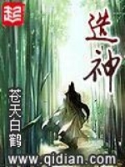 《造神》（校对版全本）作者：苍天白鹤 封面