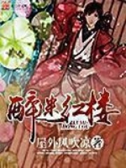 《醉迷红楼》（校对版全本）作者：屋外风吹凉 封面