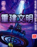 《重建文明》（精校版全本）作者：雨水 封面