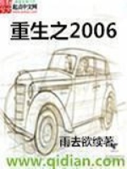 《重生之2006》（校对版全本）作者：雨去欲续 封面