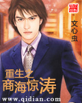 《重生之商海惊涛》（校对版全本）作者：文心虫 封面