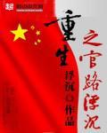《重生之官路浮沉》（校对版全本）作者：浮沉 封面