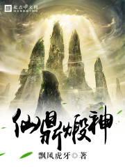 《仙鼎煅神》（校对版全本）作者：飘风虎牙 封面