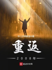 《重返2008年》（校对版全本）作者：中二少年肤浅 封面