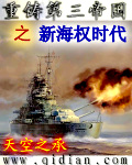 《重铸第三帝国之新海权时代》（校对版全本）作者：天空之承 封面