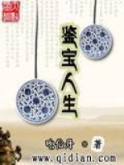 《鉴宝人生》（校对版全本）作者：吃仙丹 封面