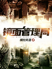 《镜面管理局》（校对版全本）作者：横扫天涯 封面