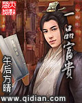 《一品富贵》（校对版全本）作者：午后方晴 封面