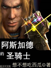 《阿斯加德的圣骑士》（校对版全本）作者：想不想吃西瓜 封面