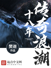 《传奇浪潮十八年》（校对版全本）作者：樊迦 封面