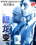 《隐龙变》（校对版全本）作者：风华爵士 封面