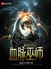 《霍格沃茨之血脉巫师》（校对版全本）作者：纯洁小天使 封面