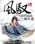 《风驭》（校对版全本）作者：懒鸟 封面