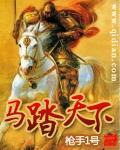 《马踏天下》（校对版全本）作者：枪手一号 封面