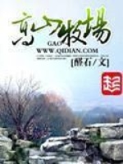 《高山牧场》（校对版全本）作者：醛石 封面