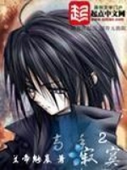 《高手寂寞2》（校对版全本）作者：兰帝魅晨 封面