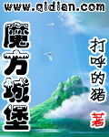 《魔方城堡》（校对版全本）作者：打呼的猪 封面