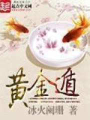《黄金遁》（校对版全本）作者：冰火阑珊 封面