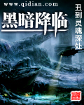 《黑暗降临》（校对版全本）作者：我丑到灵魂深处 封面
