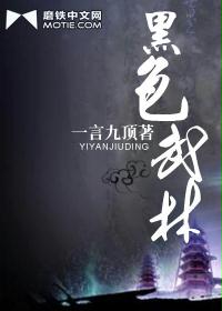 《黑色武林》（校对版全本）作者：一言九顶 封面