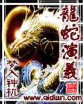 《龙蛇演义》（精校版全本）作者：梦入神机 封面