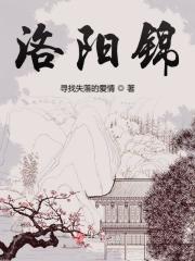 《洛阳锦》（整理校对版全本）作者：寻找失落的爱情 封面
