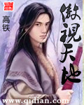 《傲视天地》（校对版全本）作者：高铁 封面