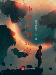 《全球游戏化：神级内测玩家》（校对版全本）作者：相思洗红豆 封面