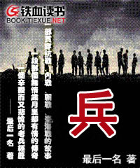 《兵》（校对版全本）作者：最后一名 封面